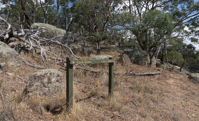 20150221-DSC05590.jpg