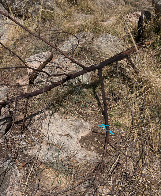 20150221-DSC05595.jpg