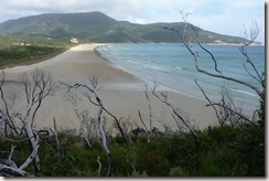 Track has climbed up and away from Oberon, but the bay views are still magic.  Entrance from Telegraph Track way is about 1/2 way - about where the sun is hitting the beach.